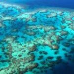 the-great-barrier-reef-australias-underwater-paradise.jpg