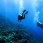 scuba-diving-in-uncharted-waters-exploring-hidden-reefs.jpg