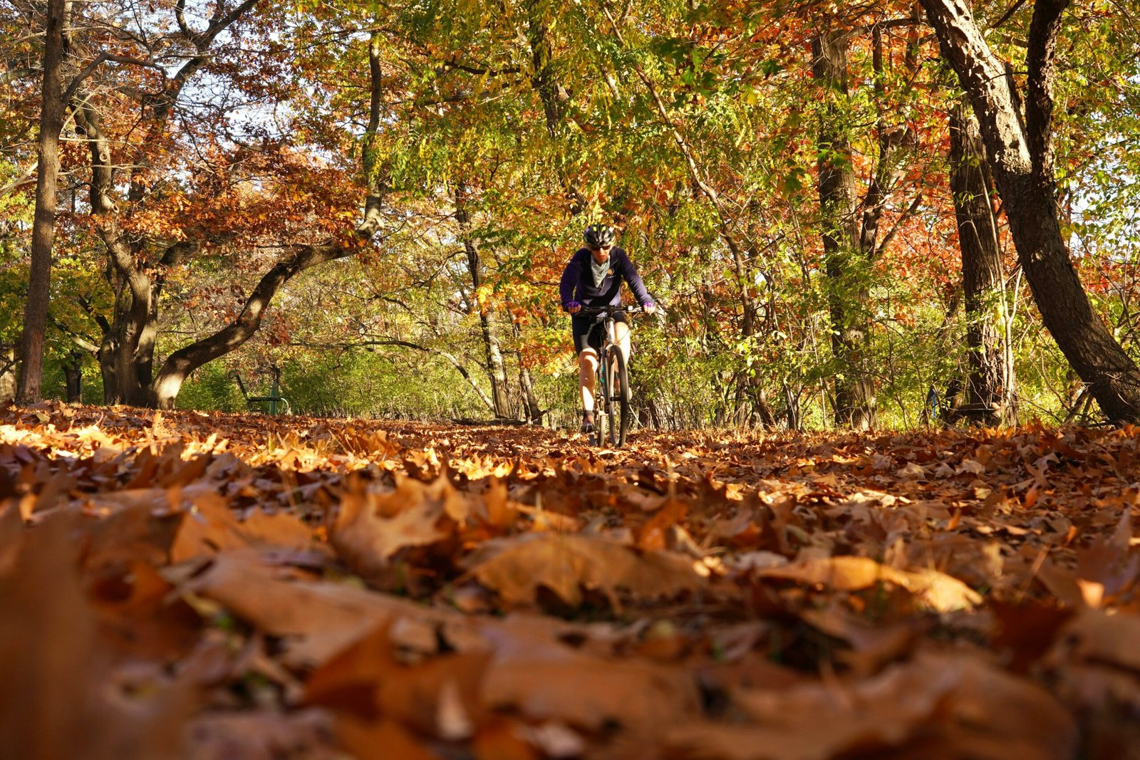 a person riding a a person riding a bike on a trail in the woods