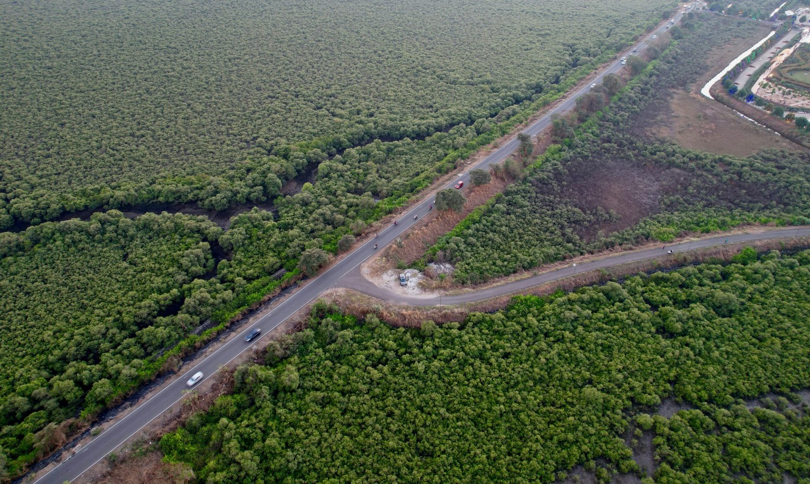 an aerial view of an aerial view of a road surrounded by trees