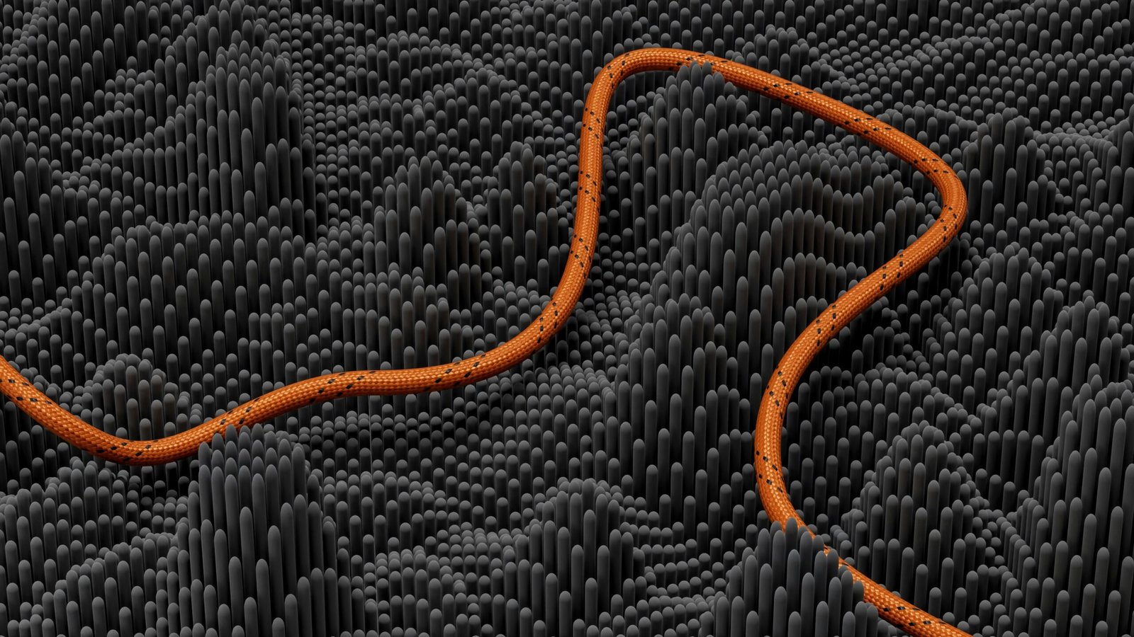 an orange snake is an orange snake is on a black background